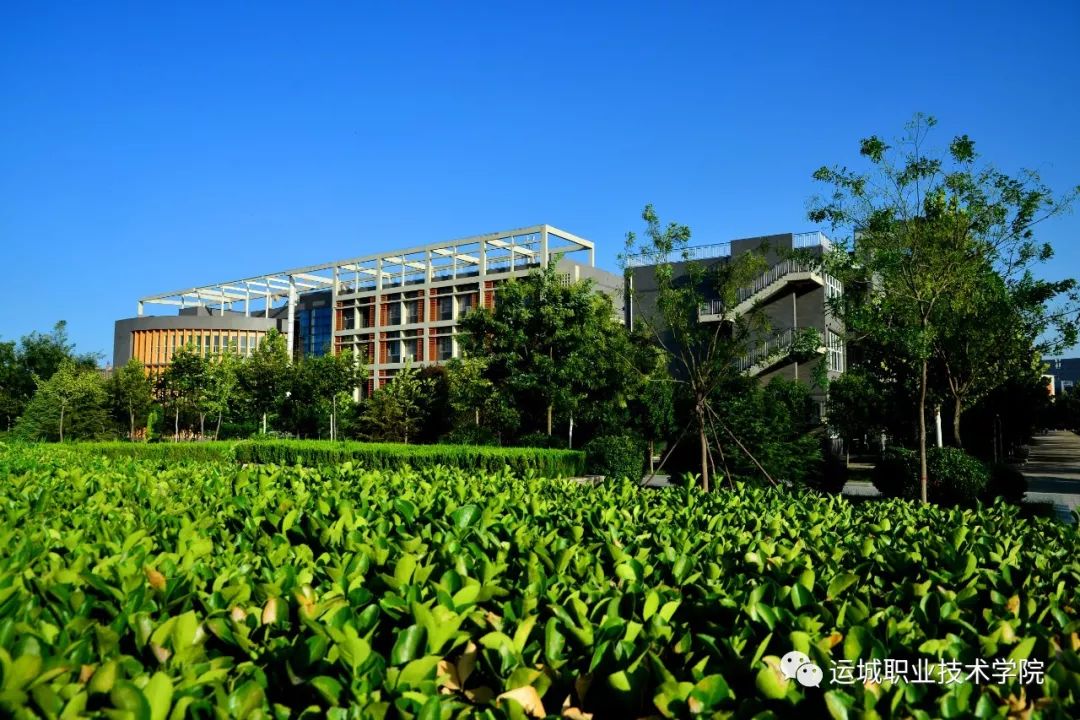 甜蜜活力的橙 | 运城职业技术学院是什么颜色的?