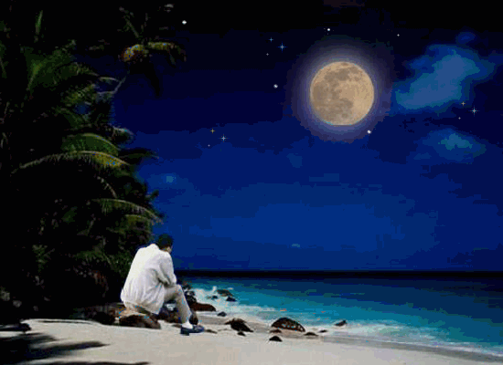 海上风微刊夜听流浪的思念作者如风67编配鱼儿丫丫诵读木子阳艺术