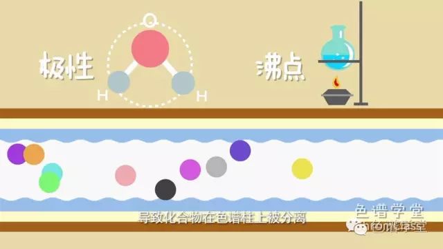 原理动画色谱柱都没搞懂还做什么气相