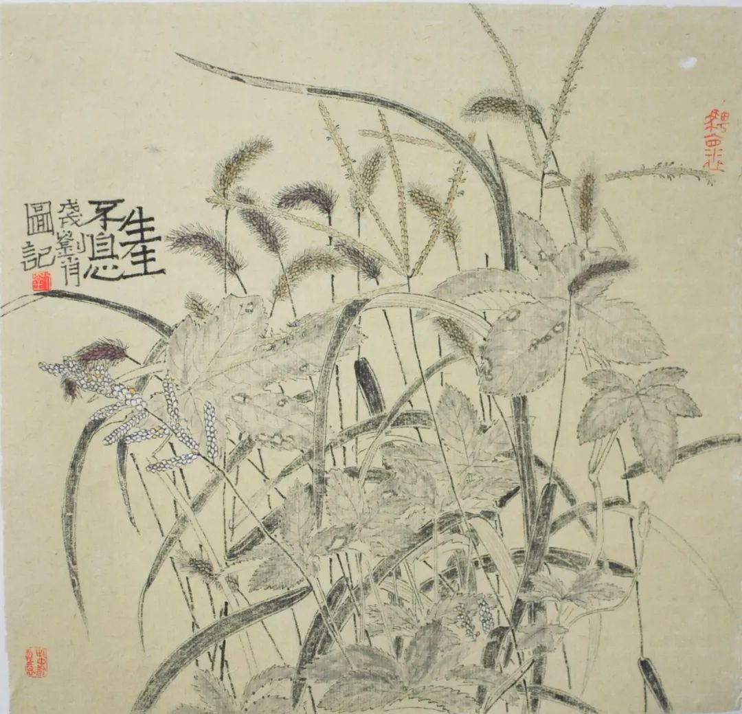 老圃花鸟画作品图片图片