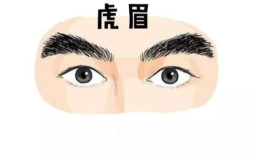 男人发财眉毛图片