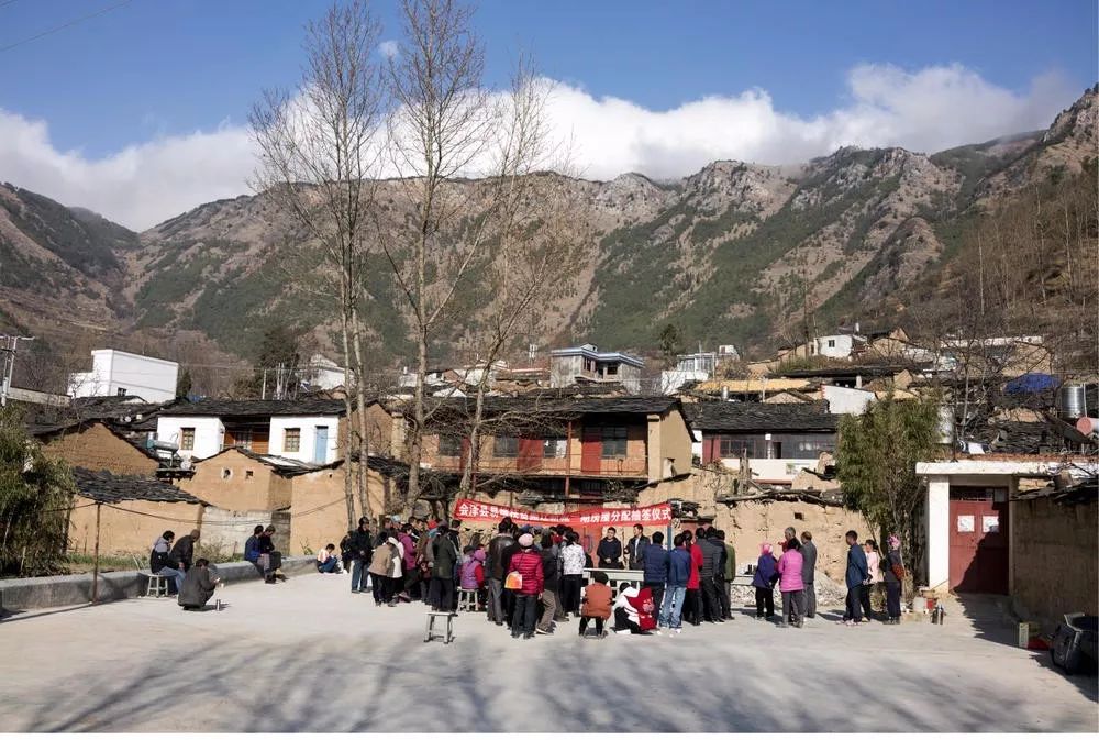 图为放学回家的孩子,回家前还要顺带采拾猪草.