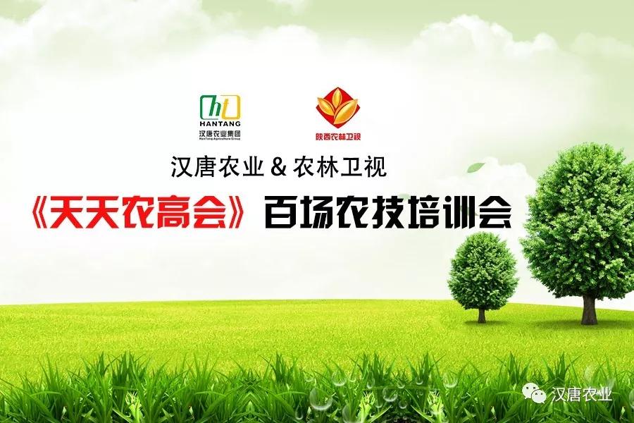 天天农高会农户得实惠汉唐农业农林卫视天天农高会大荔站现场花絮