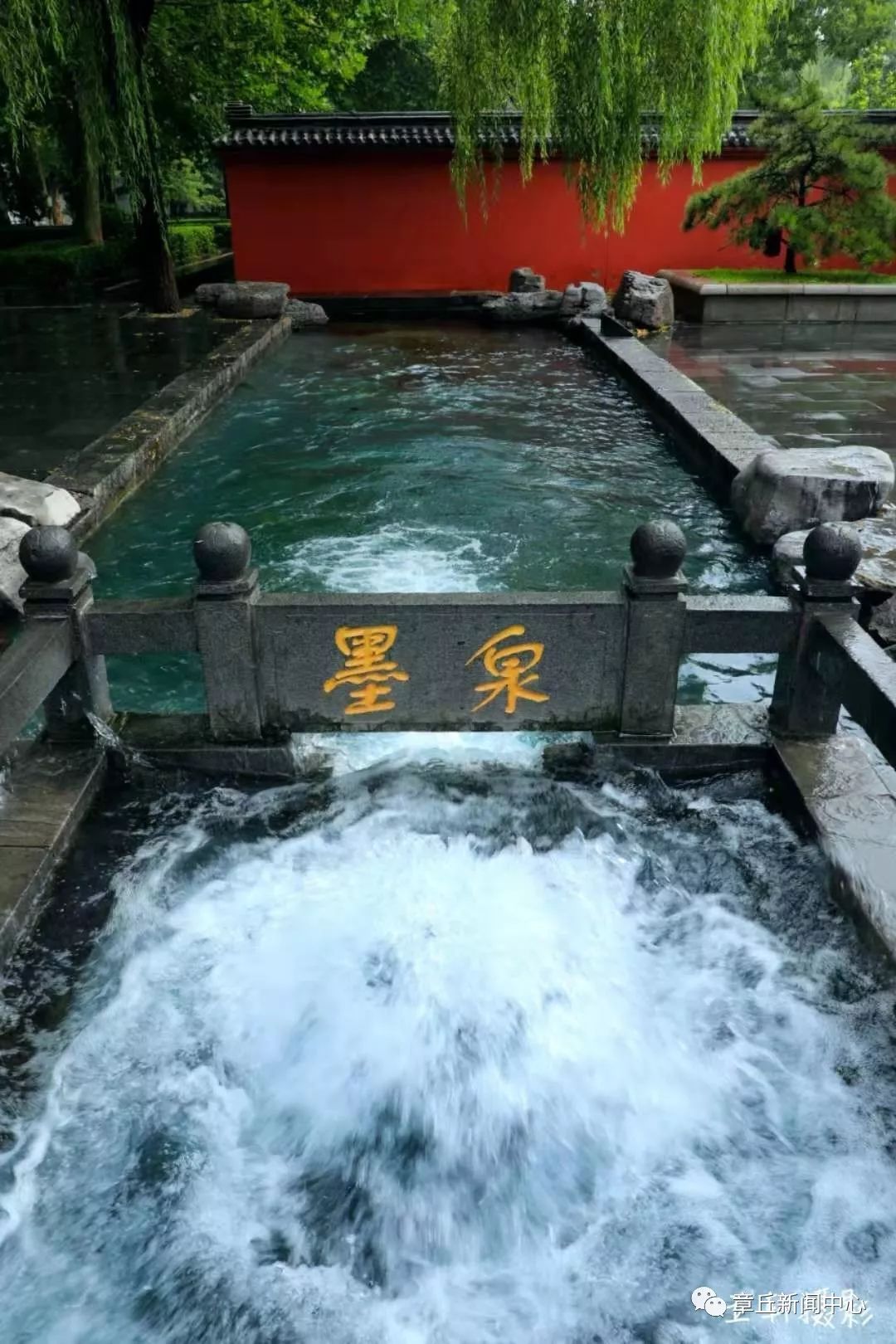 大雨过后章丘群泉喷涌创水位新高