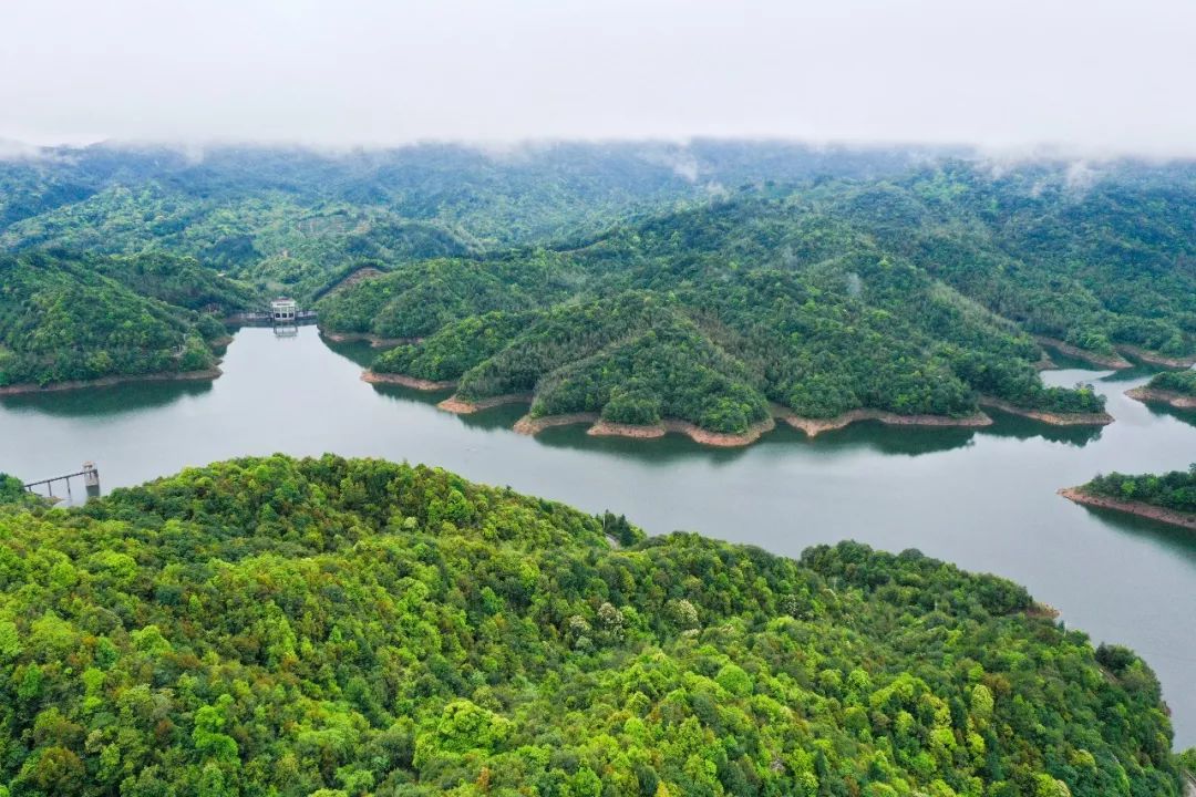林草辉煌70年 | 全国林改第一县现在怎样了?_武平县