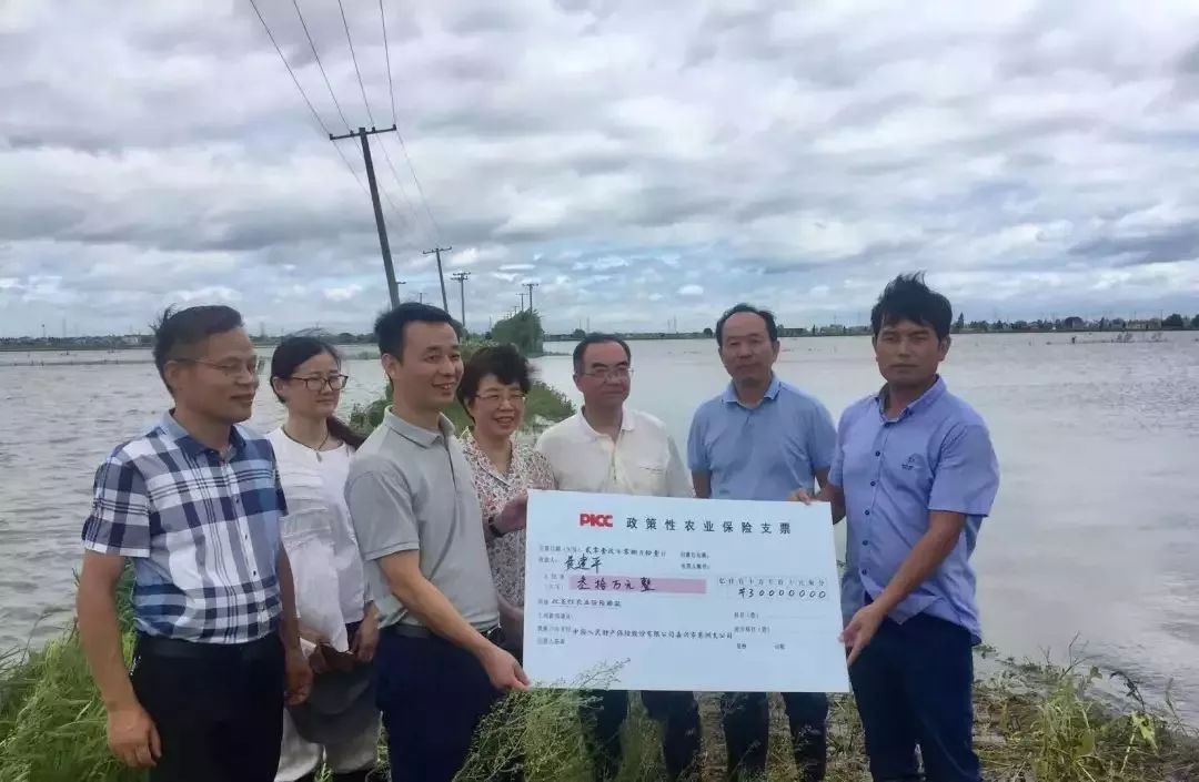 在秀洲区,党委委员,副局长柴荣明一行走访王江泾镇科强农业开发有限