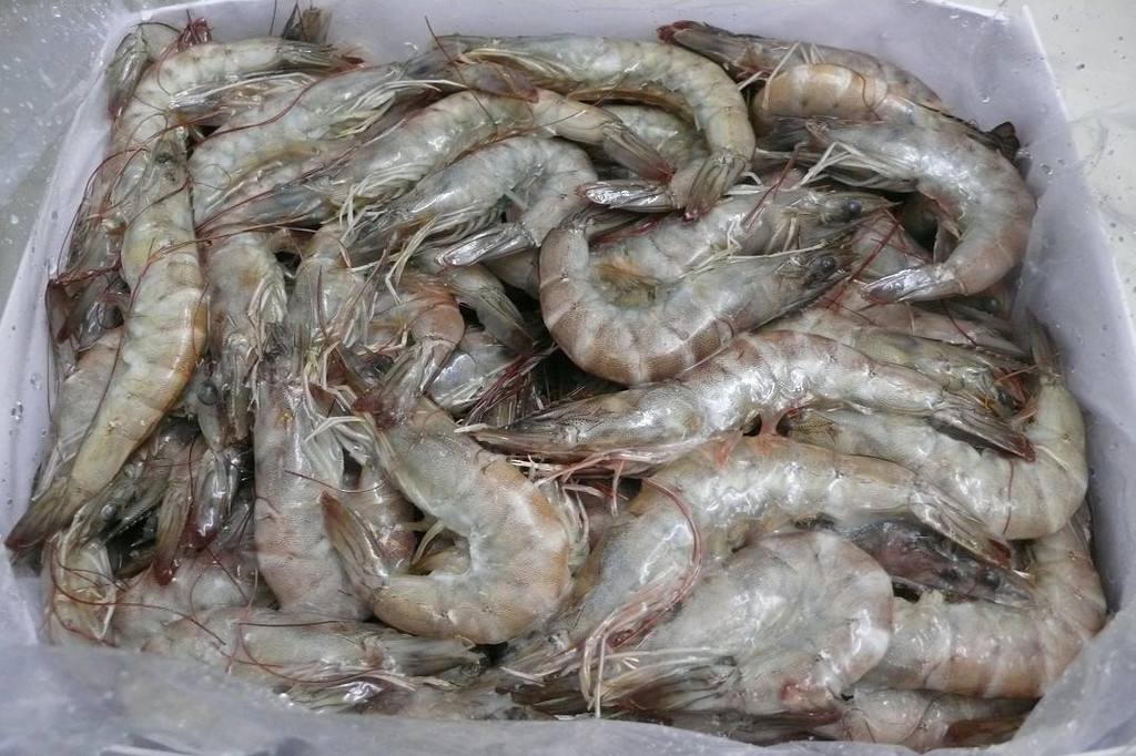 先在倒入冰块水,再把虾子排列摆放好后加上盖子,之后放入冰箱冷冻保存