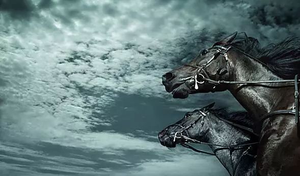 听一听黑骏马快活腿