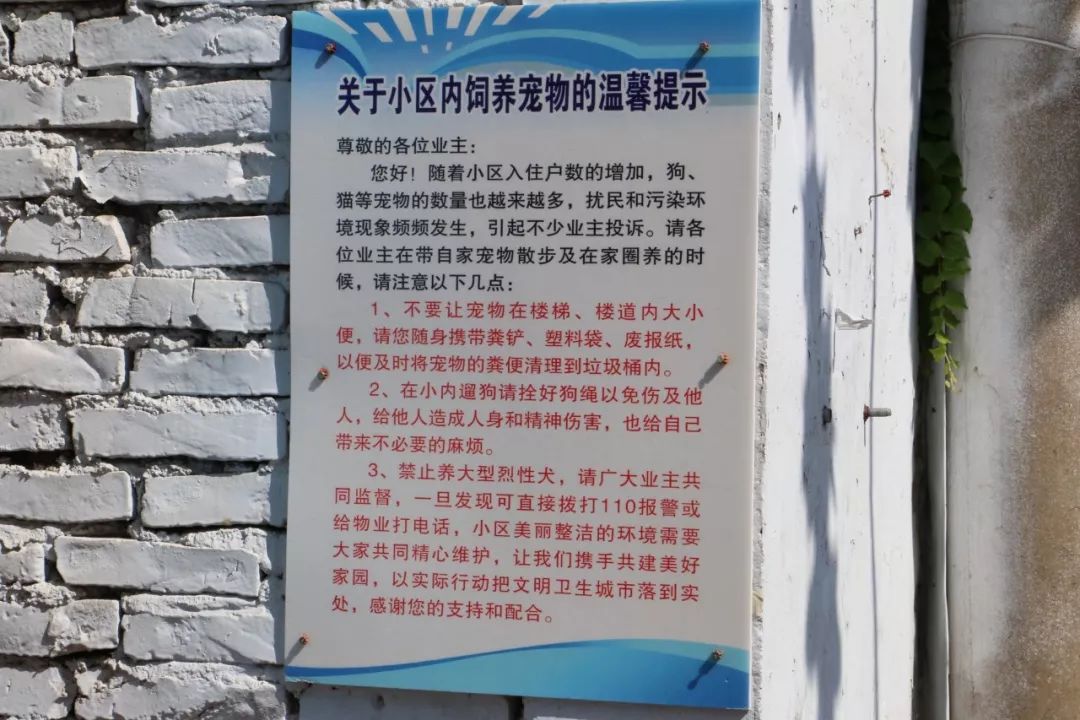 德顺小区外出遛狗的胡女士从箱口抽出两张废旧报纸,这样清理小狗粪便