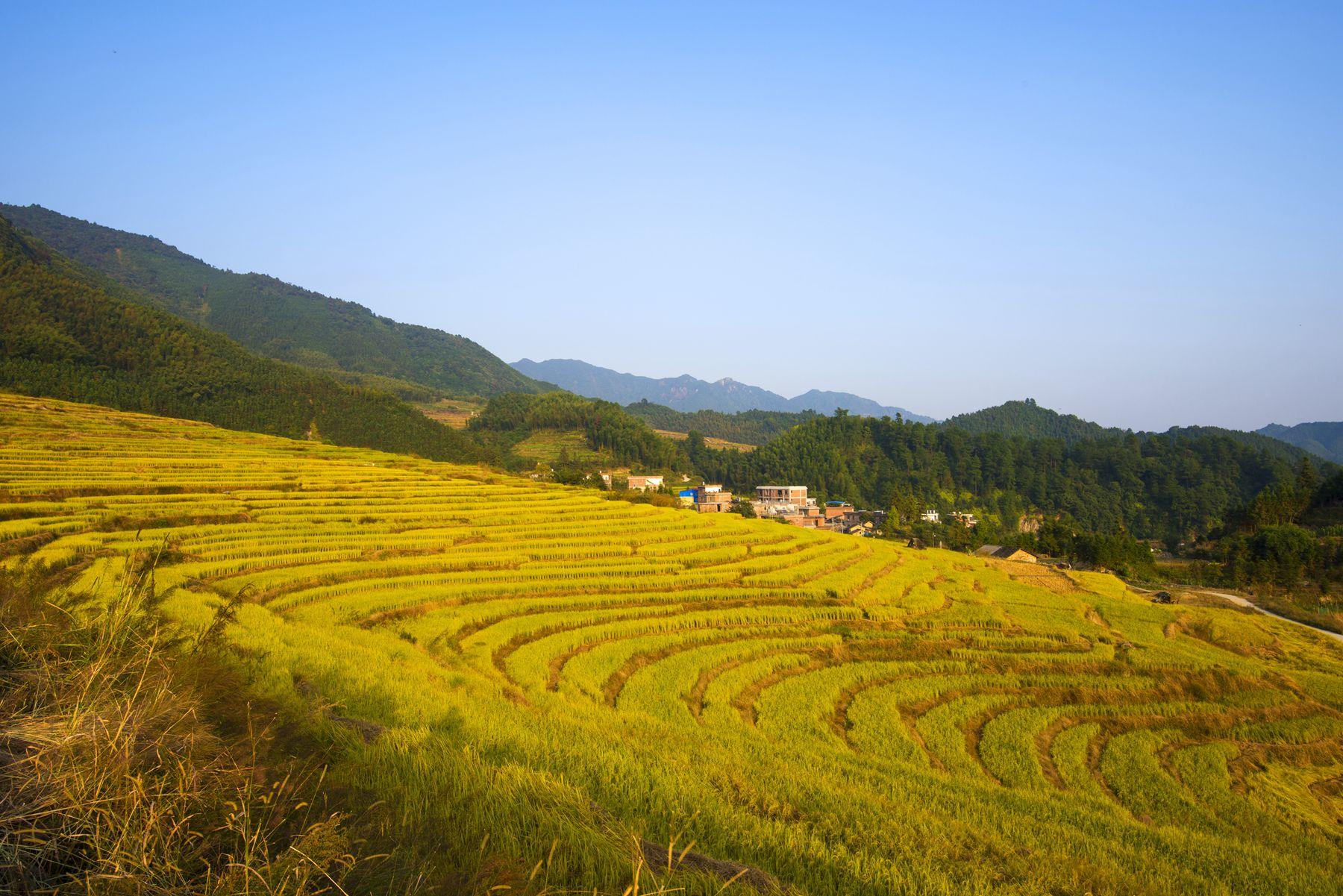 清远连山欧家梯田广东梯田观光首选