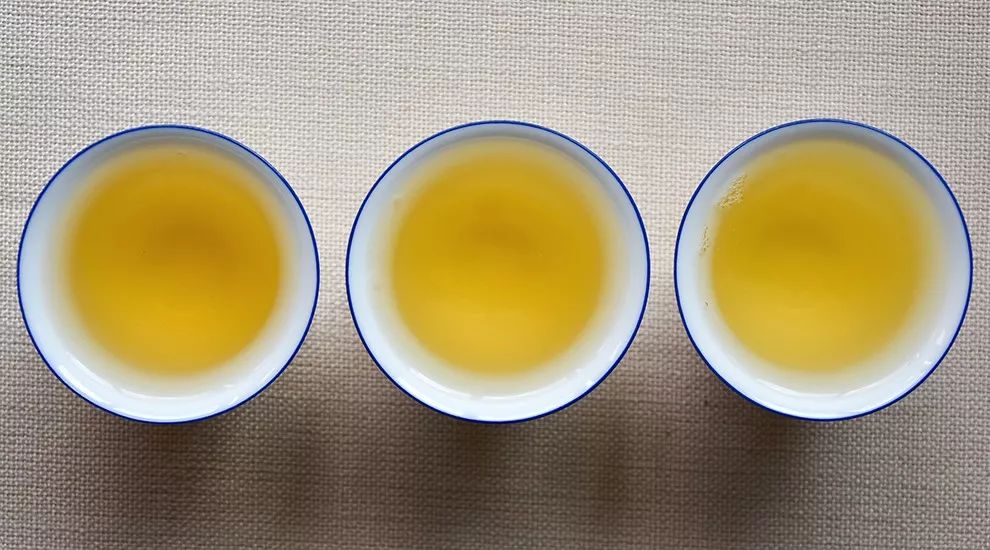 0596临沧四小龙昔归品鉴汤感厚重回甘迅猛