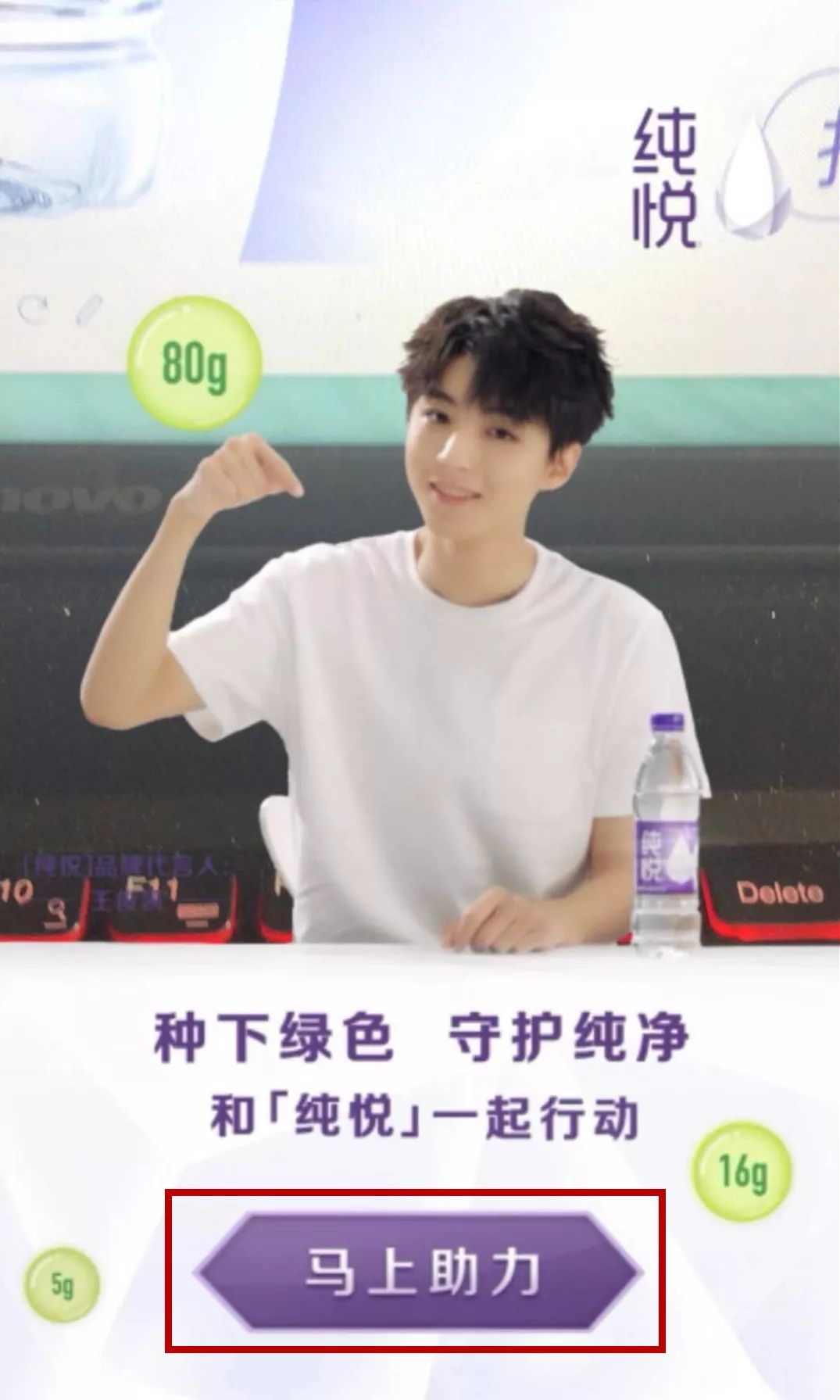 加入纯悦纯净公益林和王俊凯一起守护纯净