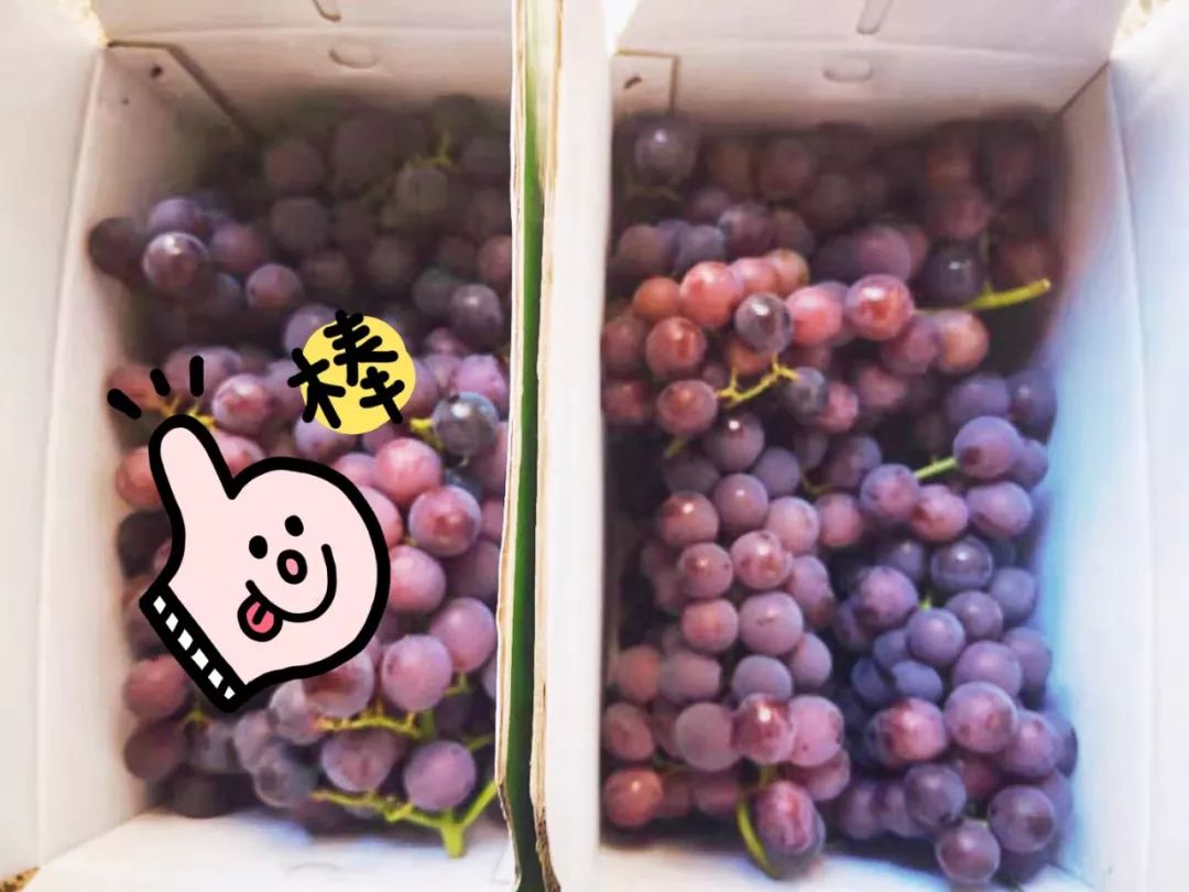 工会福利炎炎夏日鲜果佳免费送葡萄一人一箱