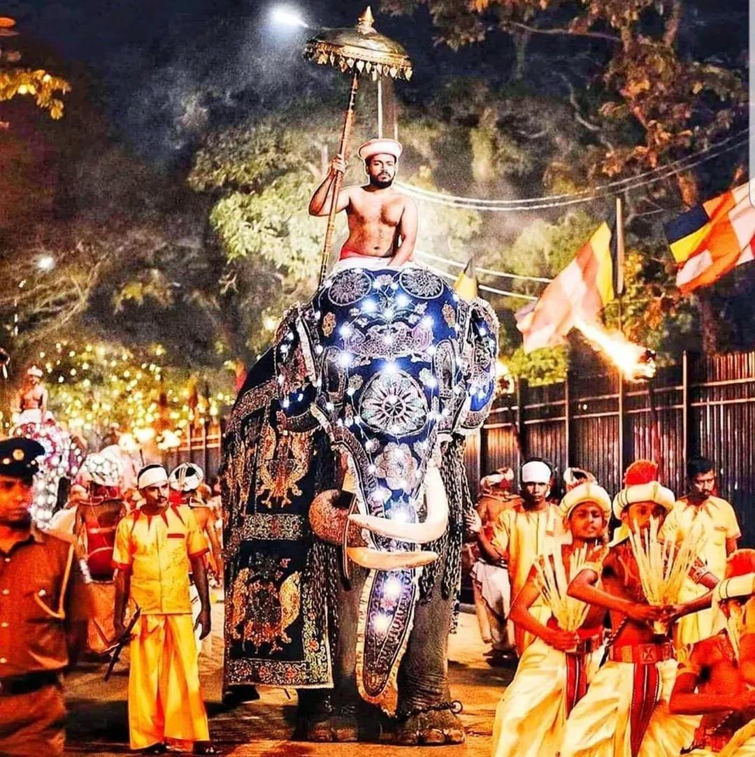 精彩图集恐袭后首个斯里兰卡佛牙节完美落幕历时10日千人围观无意外