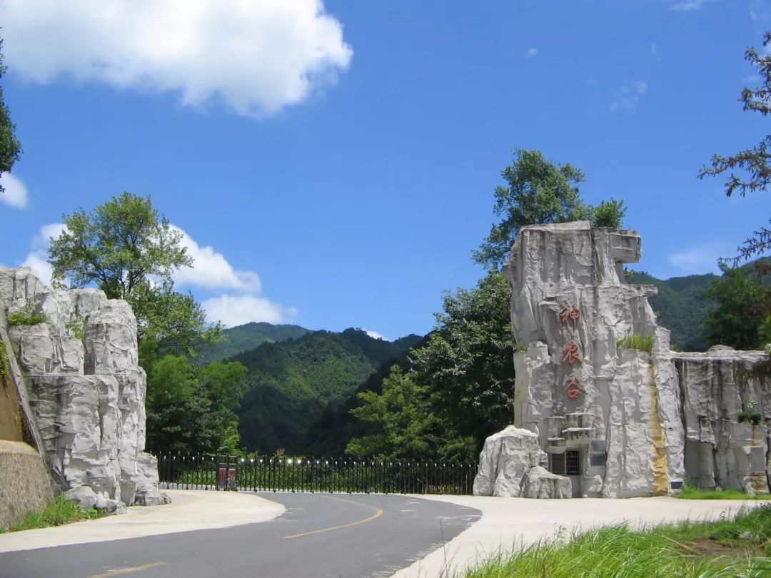 神农谷换乘车票价你怎么看可以报名参加听证会