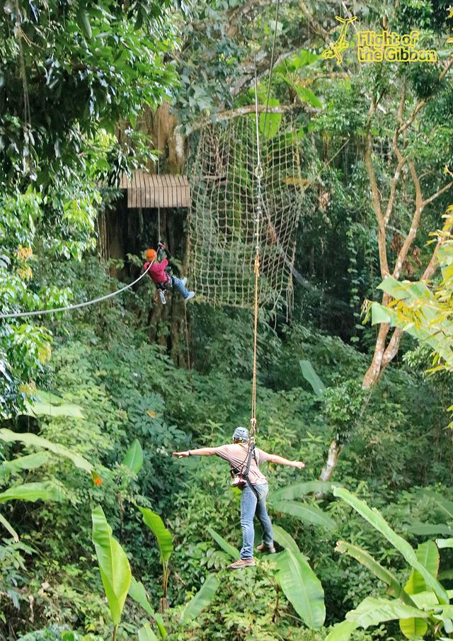 泰国丛林飞跃有什么好玩?解锁最全玩法,首推天鹰飞跃