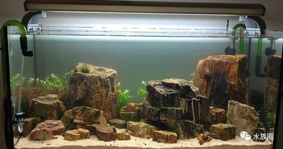 此木非彼木经典的木化石造景合集