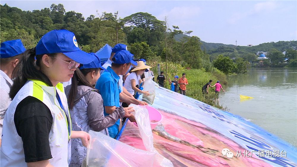 活動分別在流溪河溫泉文化廣場段,流溪河水庫,流溪河良口鎮大江裡段