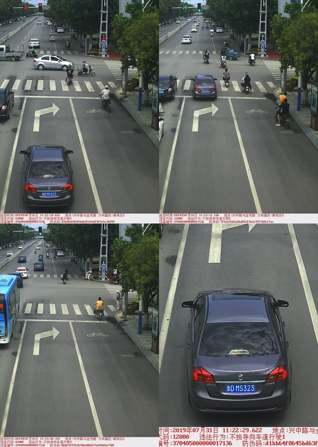 交通违法曝光 | 广进路与金光路,留意所行车道!