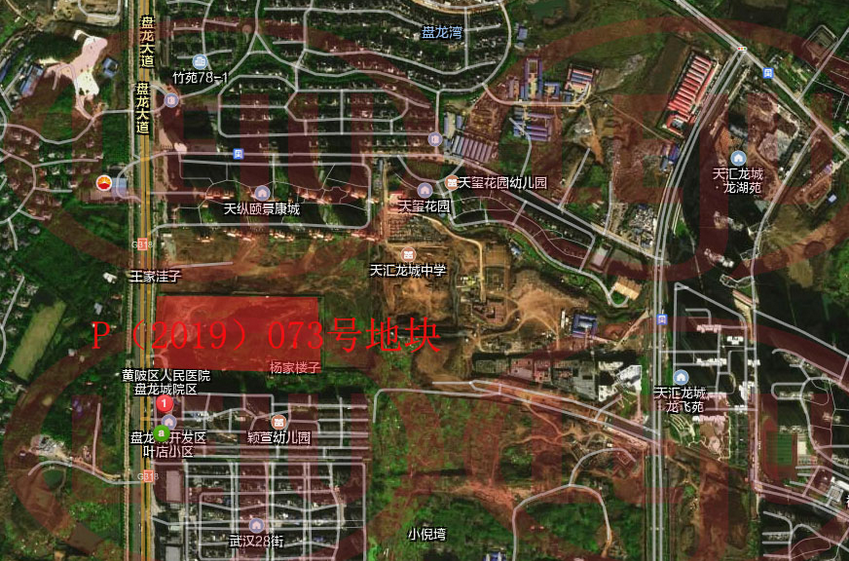 刚需慌了盘龙城房价捅破了天花板下一个城市中心真来了