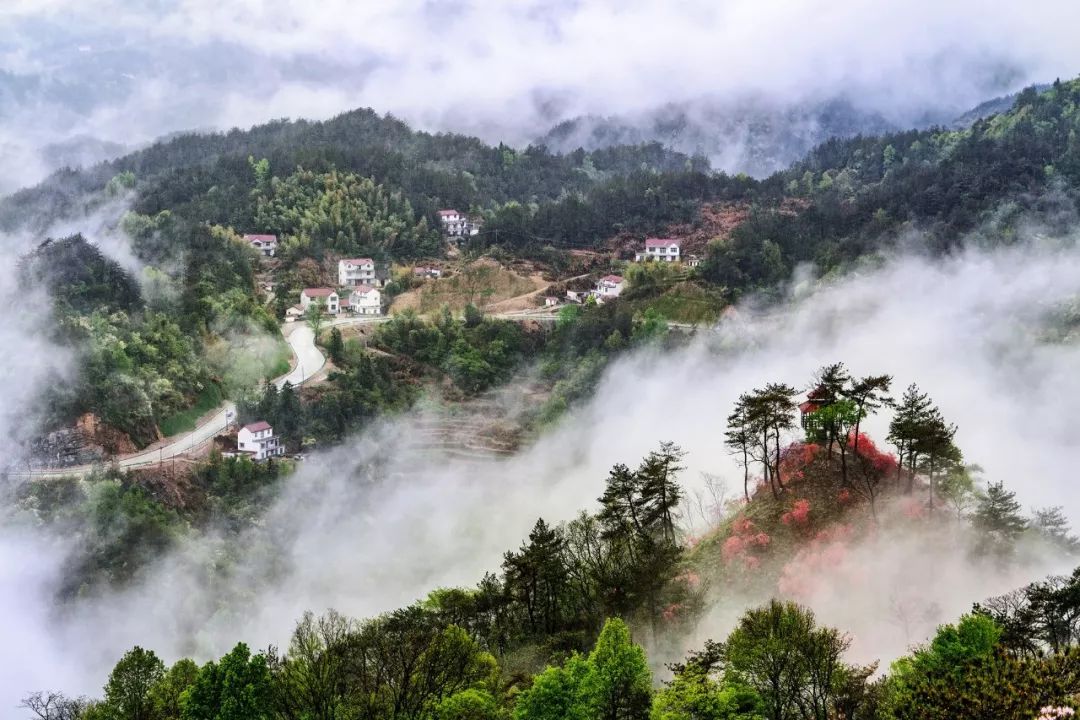 走进美景走上新路岳西百姓踏上致富路