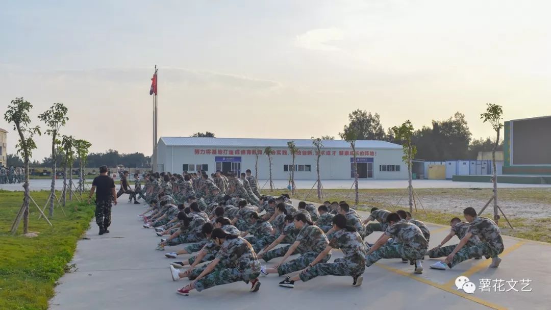 薯花基地军训图片图片