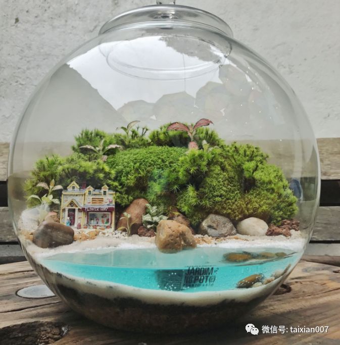 世界顶级苔藓微景观造景学了就是自己的