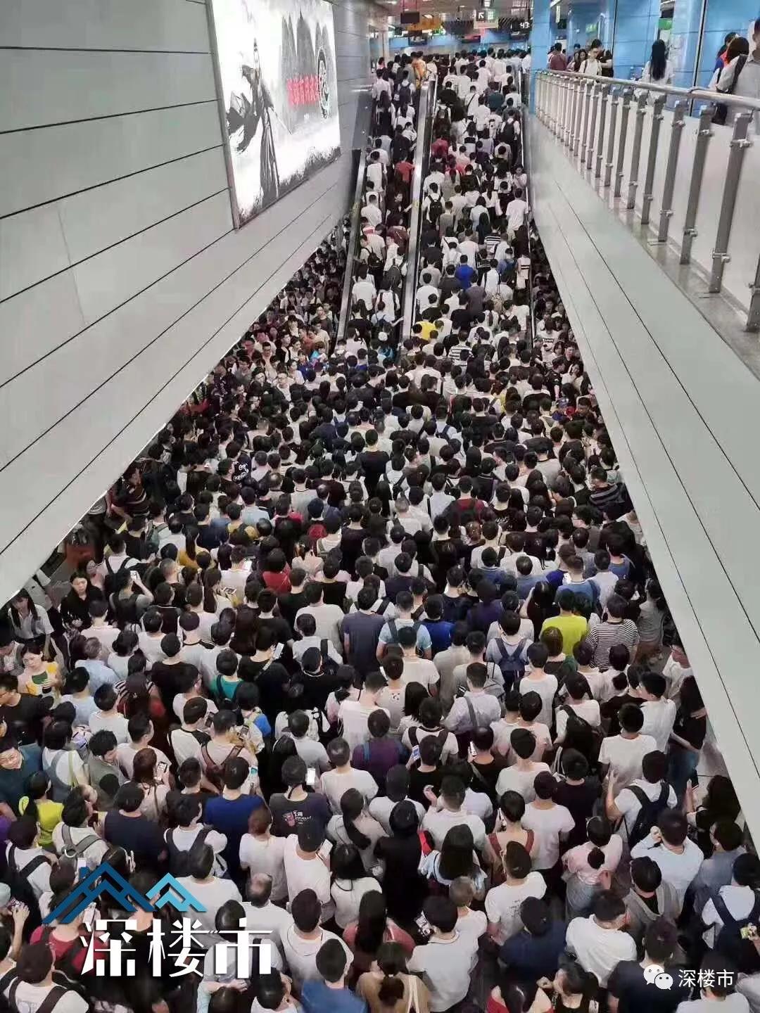 深圳最挤的地铁线非1号线莫属,不接受反驳!