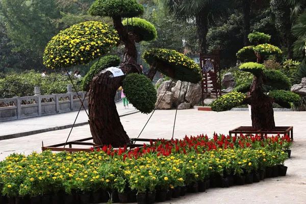 想让你的造型树价值翻倍就要做到这几点