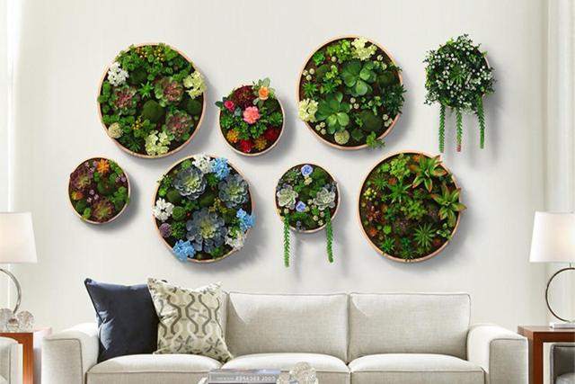 装饰随心,长在墙上的花园,让您的居室别有一番品味_植物