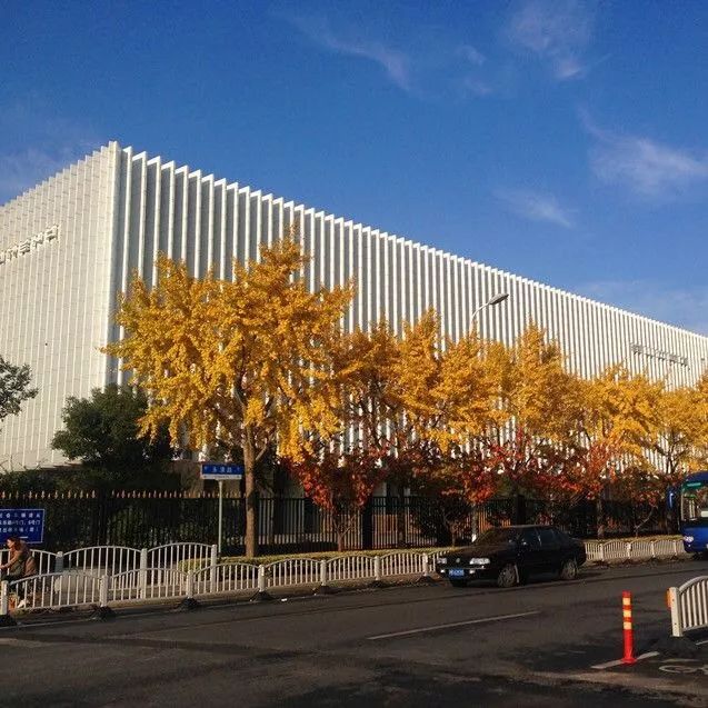 飒爽八月丨宝体"童趣民俗家年华"如期而至!