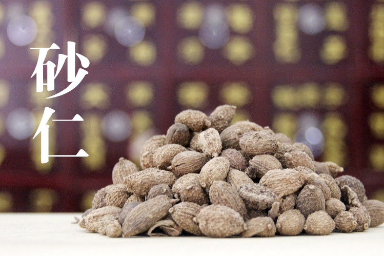 化湿开胃温脾止泻中药砂仁的故事橘香园学堂