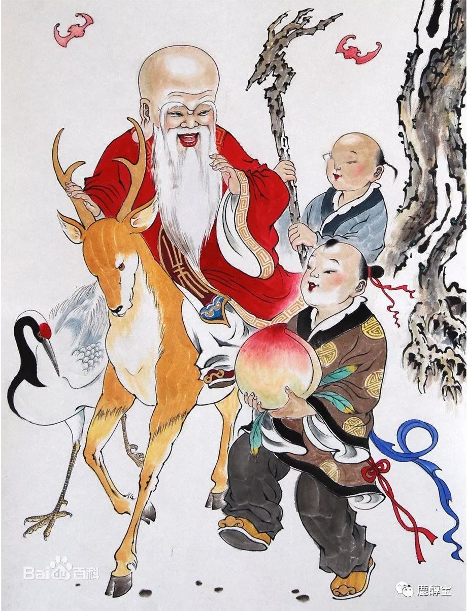 梅花鹿的营养价值"鹿乃仙兽,全身是宝".