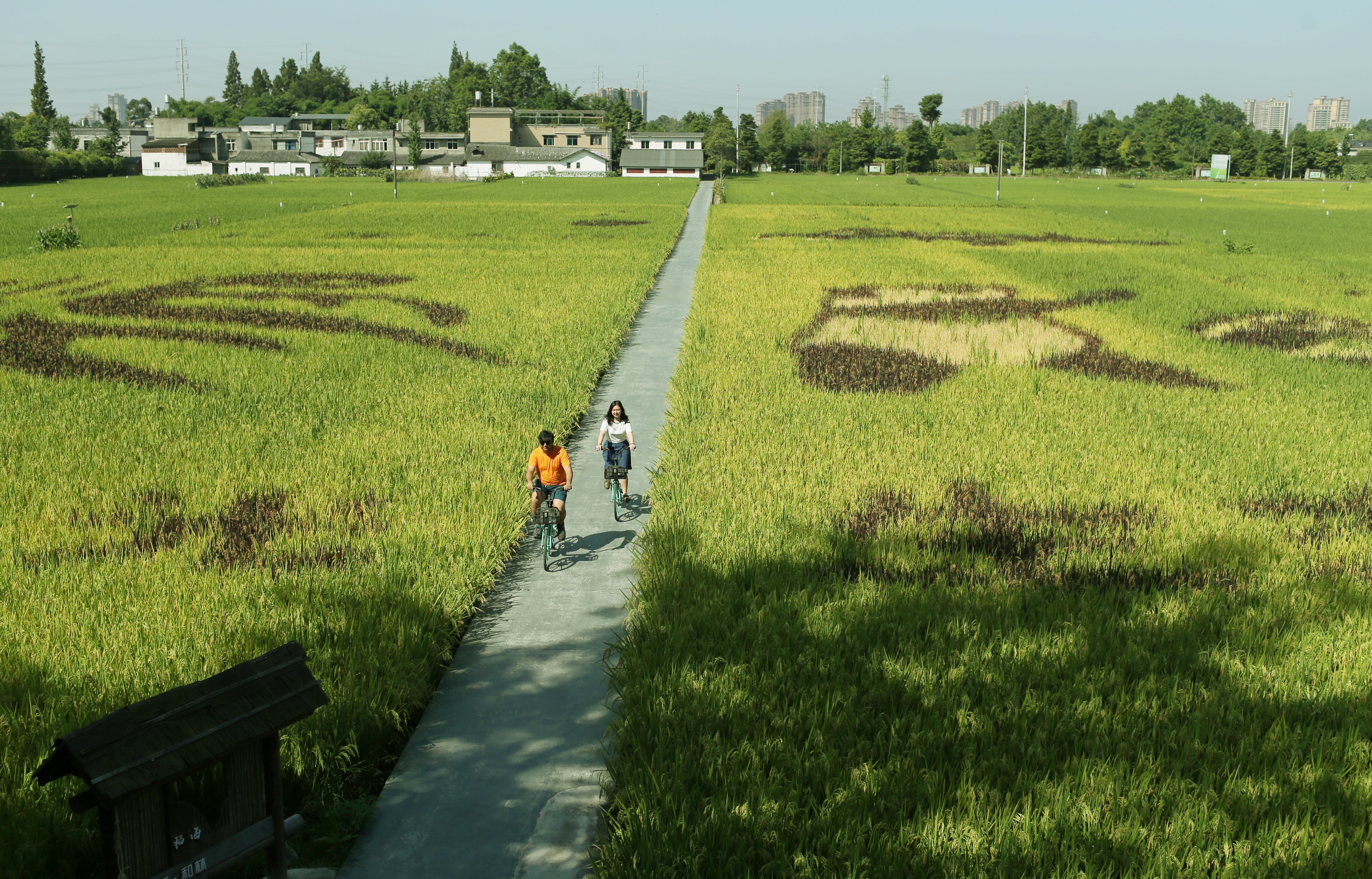 知名海內外攝影師走進四川溫江感受田園城市魅力