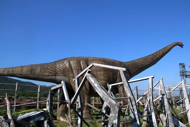 走到海棠湾看恐龙去带你玩遍侏罗纪恐龙时代