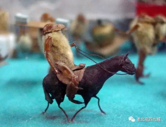 老北京的玩意儿毛猴儿