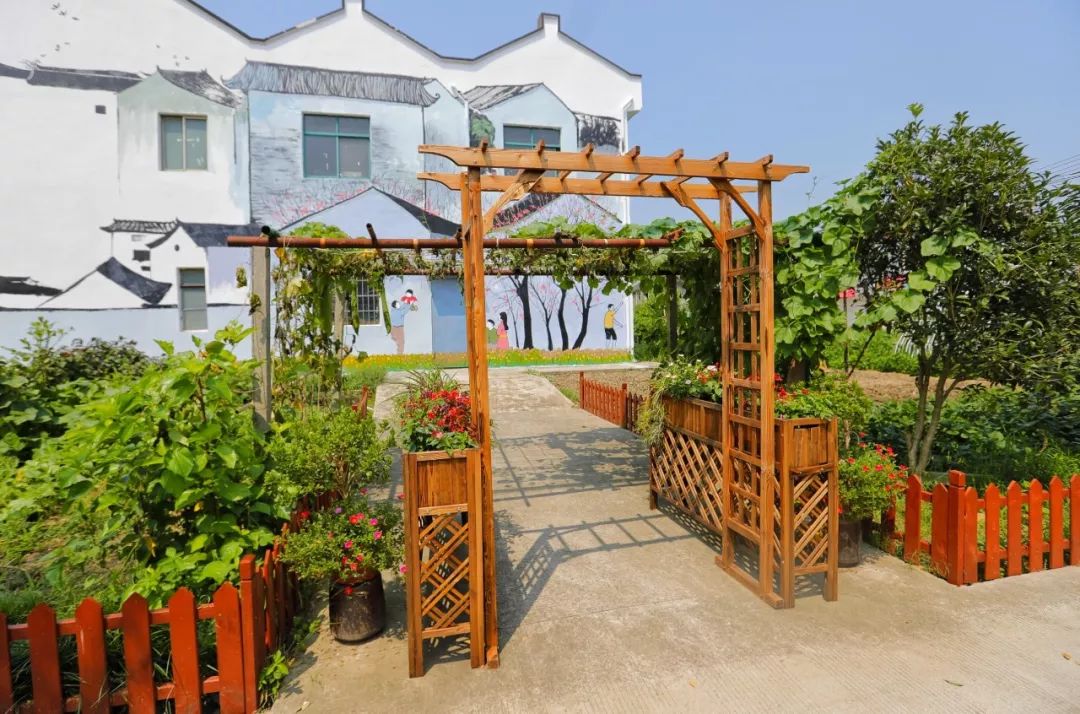 宅前屋后大变样还有小公园泖港镇这个村变化大