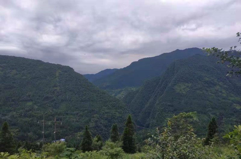 猴山飛瀑行_大川鎮