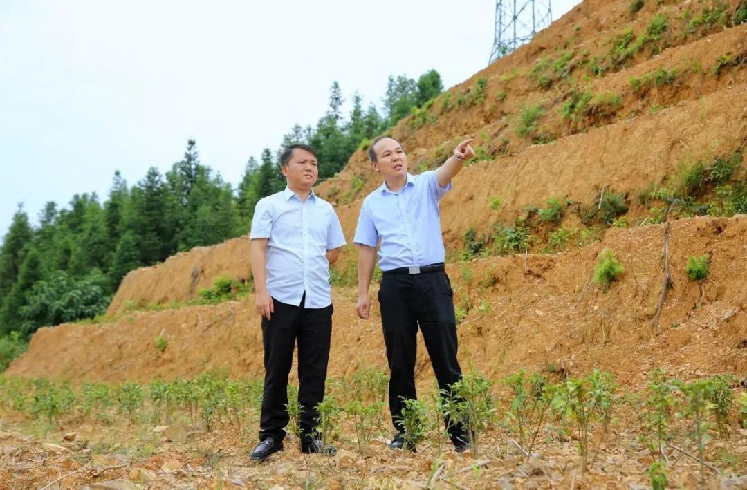 蒲塘村帮扶工作队长,第一书记杨经国与金井镇党委副书记,镇长黄轲在