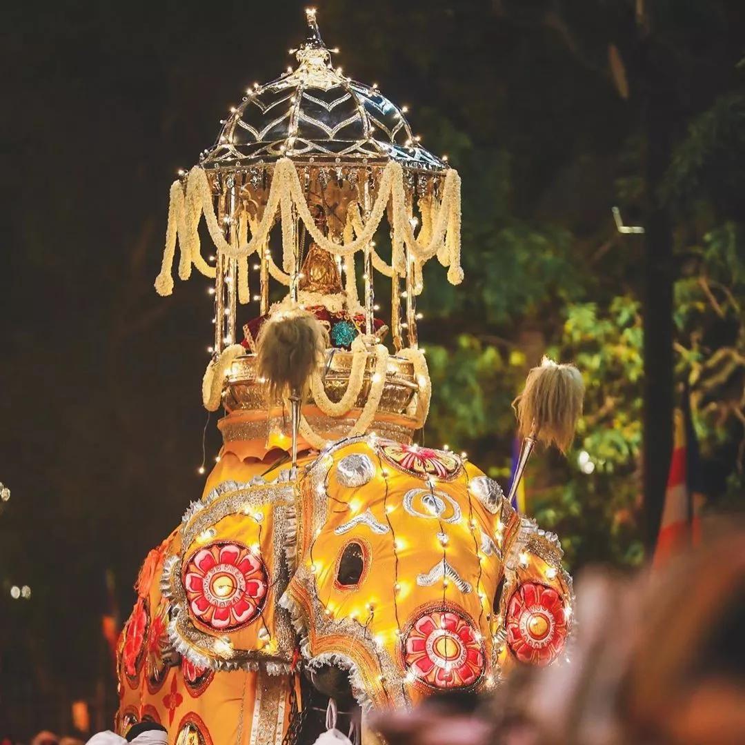 精彩图集恐袭后首个斯里兰卡佛牙节完美落幕历时10日千人围观无意外