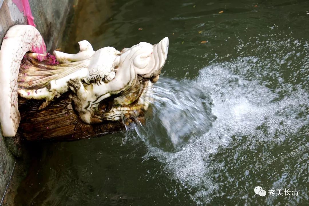 美哉长清大雨过后长清群泉撒欢啦快来探泉寻幽享清凉吧