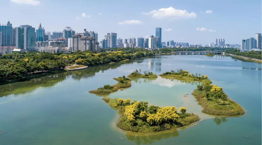 新华社又双叒叕聚焦南宁啦都是因为