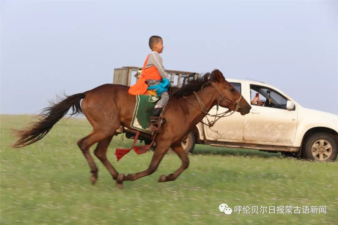 蒙古达人年仅5岁的小骑手萌帅萌帅的