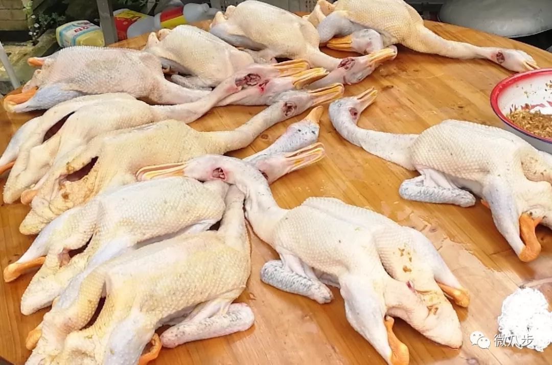 中元节今天你吃鸭了吗