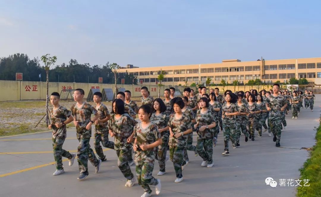 薯花基地军训图片图片