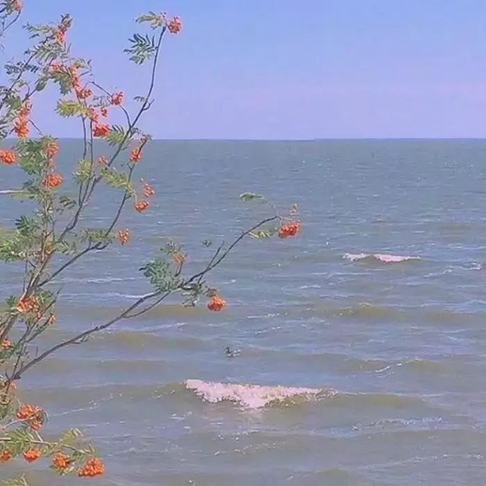 ýӢ˽˿ˮŴ?ͥӰԺ