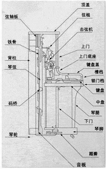 立式钢琴踏板结构图图片