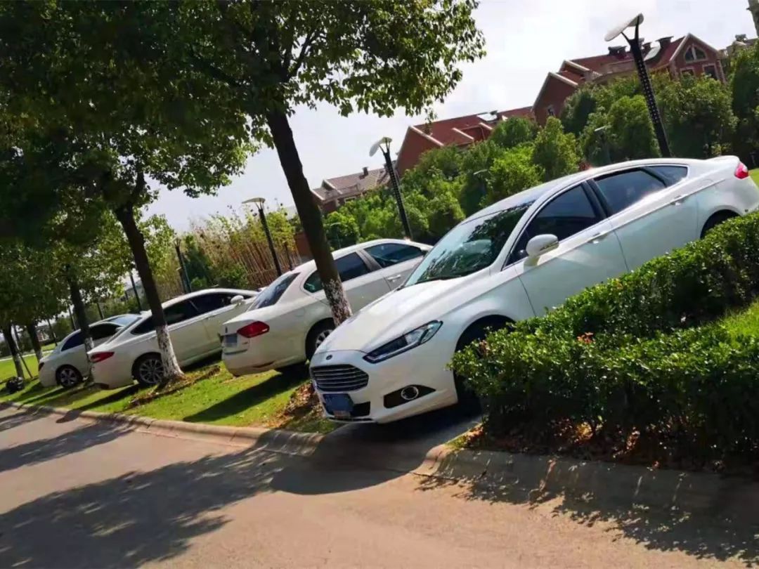 梅冲湖公园改造正当时竟有车主任性把草坪当停车场背后的原因是