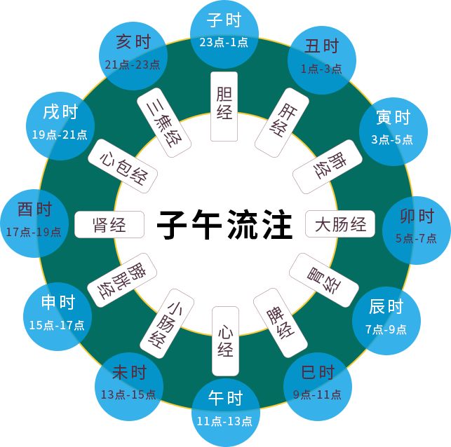 围观丨这才是健康养生十二时辰每人都要知道