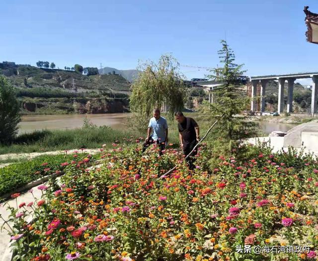 【创建全国禁毒示范城市——红古区在行动】海石湾镇开展禁种铲毒踏查